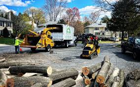 Best Grass Overseeding  in Murphysboro, IL